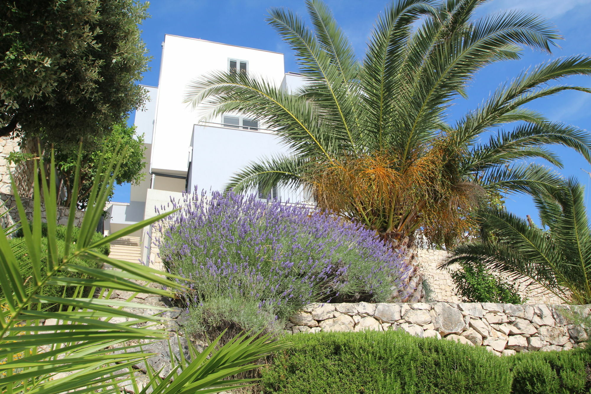 Villa Lavanda Deluxe روغوزنيكا المظهر الخارجي الصورة